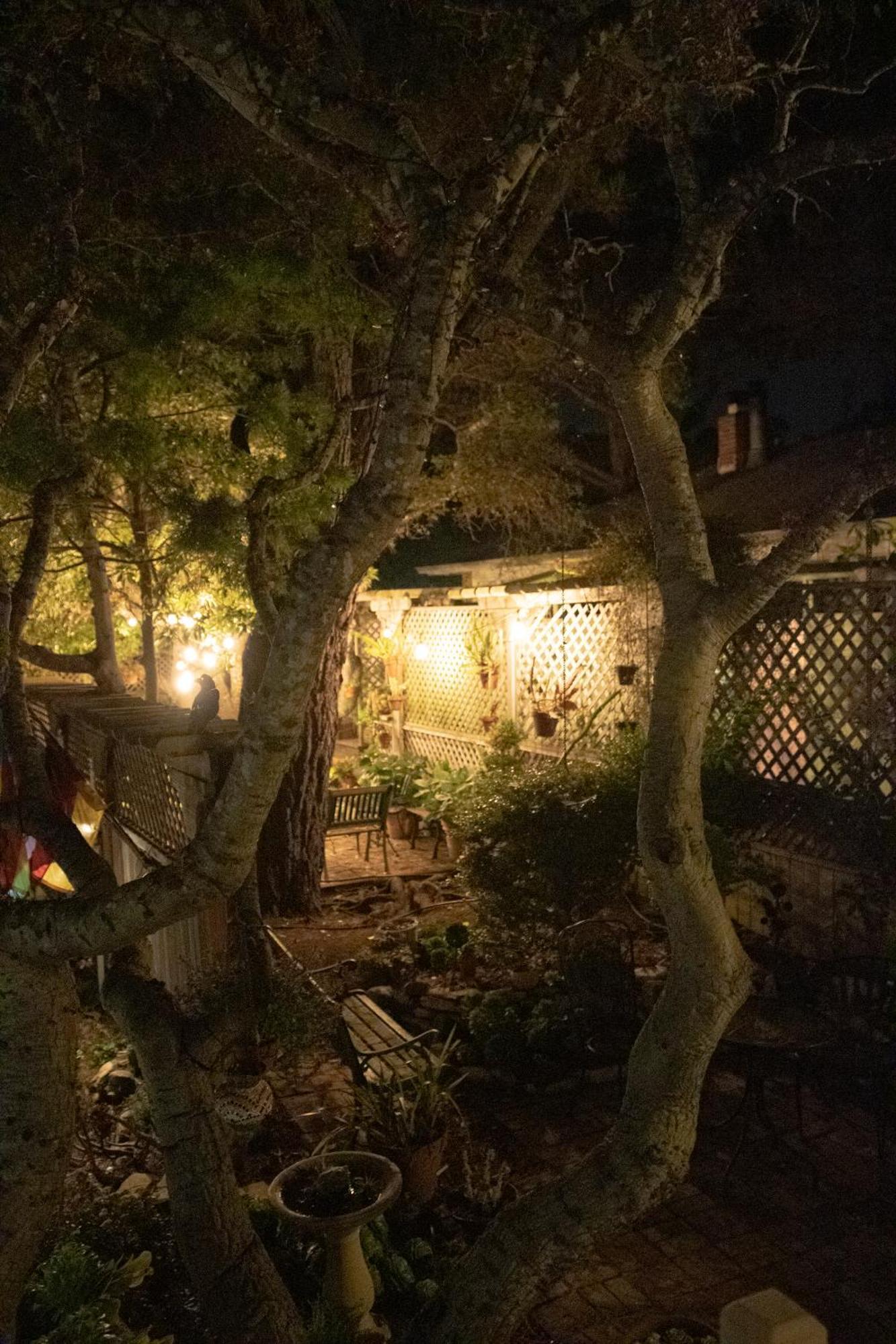 Carmel Garden Inn 외부 사진