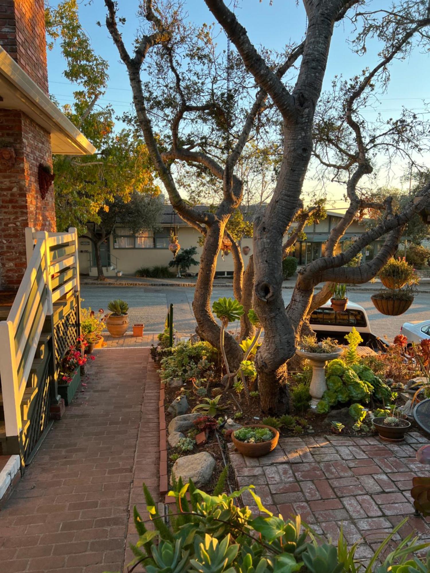 Carmel Garden Inn 외부 사진